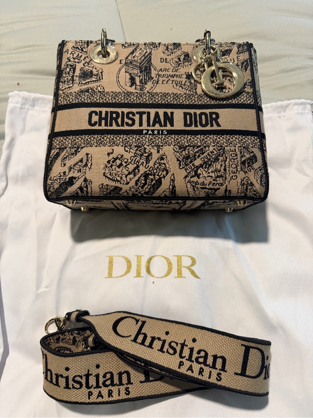 🔥 AUTHENTIC DIOR LADY D-LITE – PLAN DE PARIS – MEDIUM 🔥 - Picture 5 of 12